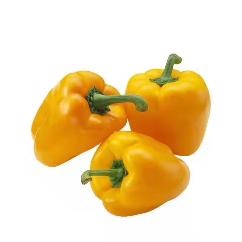 黄甜椒